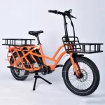 Family Cargo Bike Electric Bike with Passenger Seat