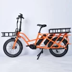 Family Cargo Bike Electric Bike with Passenger Seat
