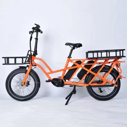 Family Cargo Bike Electric Bike with Passenger Seat