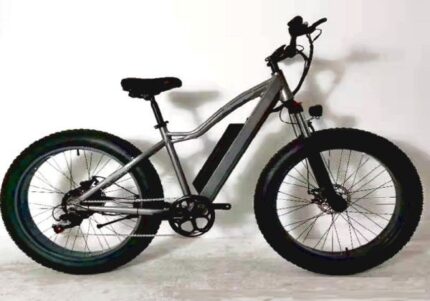 Fat Tire Electric Bike Batam 1000W Mountain Bike