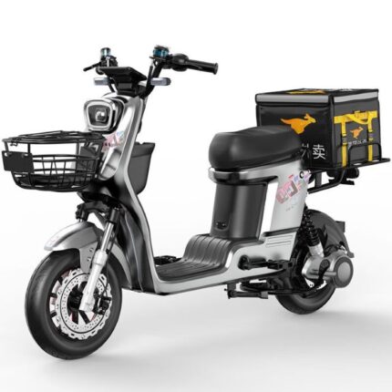 Electric Bike for Food Delivery