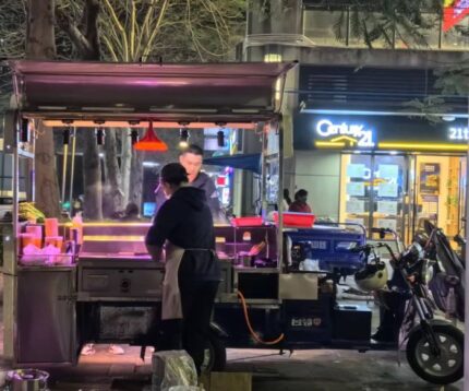 Hot Dog Cart with Grill and Fryer for Sale