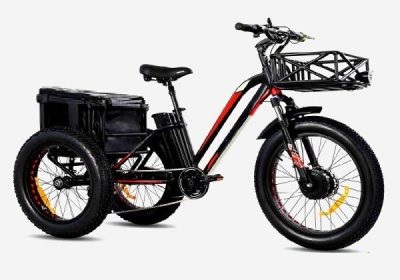 Modern electric 3-wheel Cargo bike e-tricycle
