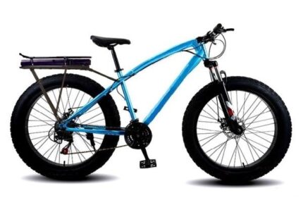 eBike Galang Cruiser Fat Tire Electric Bike 1000w