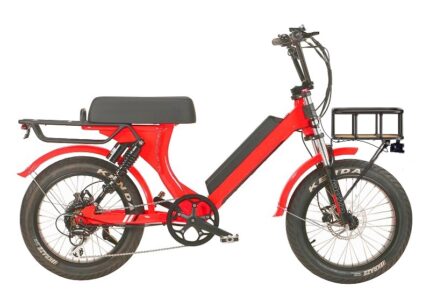 eBike Moa Full Suspension Electric Fat Bike