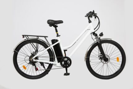 Dutch Style Electric Bike Flores e-Bike for Women