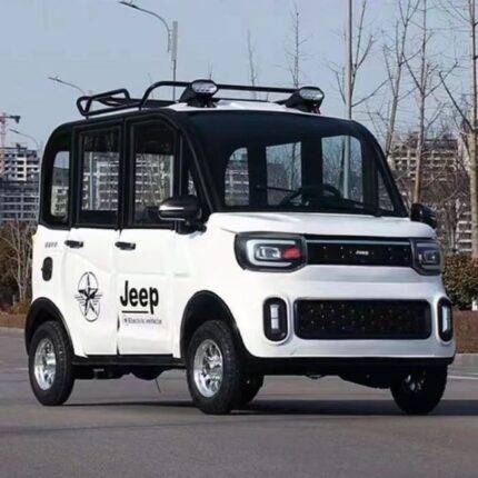 Electric mini car, low speed electric 4 wheeled vehicle e bike for sale