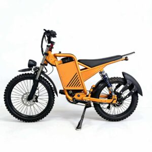 race ebike
