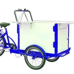 Front Loading Cargo Bike Electric 3 Wheel Cargo Bike RE-033