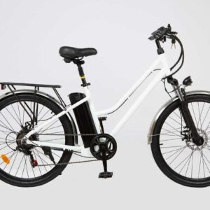 Dutch Style Electric Bike Flores e-Bike for Women RE-100